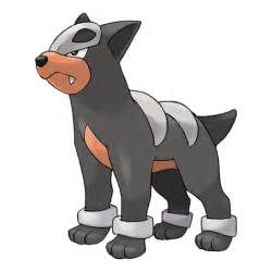 houndour oras|Serebii.net Pokédex .